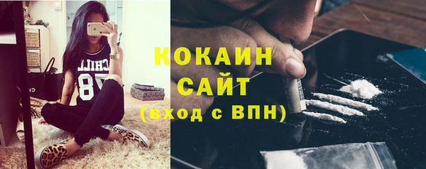 PSILOCYBIN Осинники