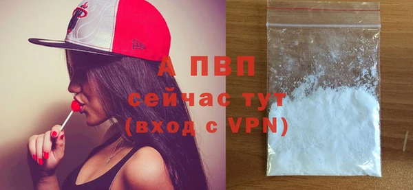 PSILOCYBIN Осинники