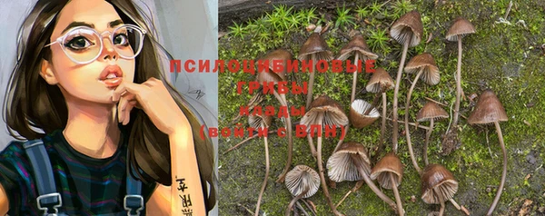 бошки Абинск
