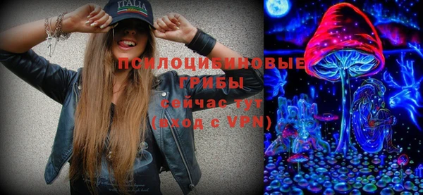 apvp Абаза