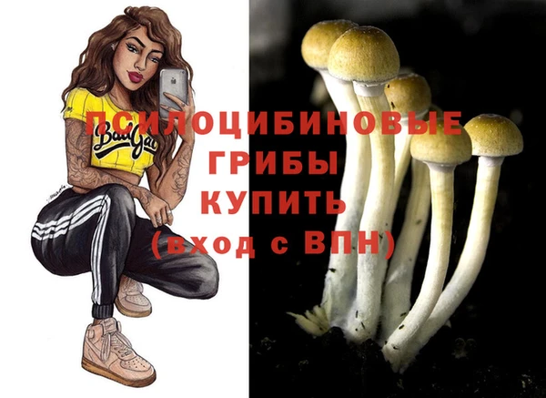 бошки Абинск