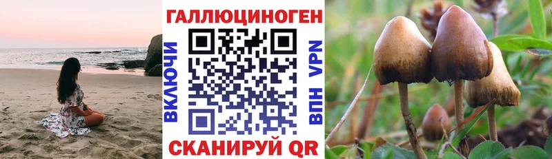 Псилоцибиновые грибы Cubensis Томари